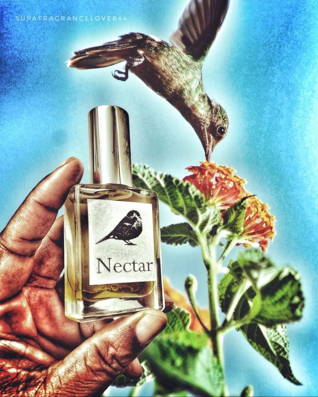 Nectar